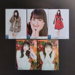 NMB48 山本彩加 まとめ売り ⑤ 床の間正座娘