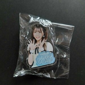 NMB48 オフィシャルショップ限定ガチャ アクリルクリップ ここ天 貞野遥香［NMB48 グッズ］