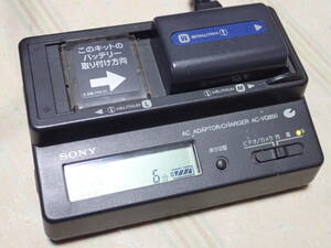 SONY ソニー 純正充電器　AC-VQ850　Ｌ型 M型用 -228