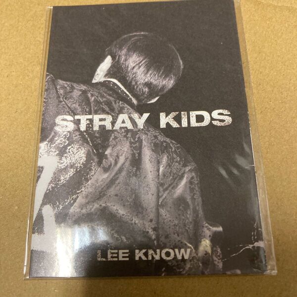 Stray Kids 特典単体 LEE KNOW 新品未開封 m