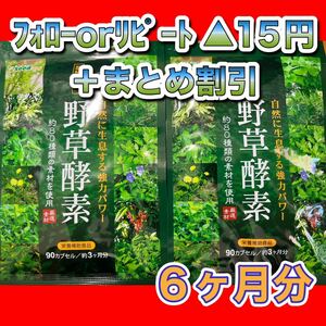 【2袋@445 計890】野草酵素★シードコムス★６カ月