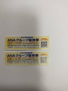 ANAグループ株主優待券 2枚 有効期限：2023年12月1日～2024年5月31日