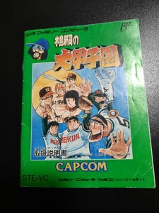 水島新司の大甲子園 fc ファミコン 説明書 説明書のみ Nintendo 