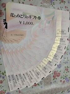 全国共通　花とみどりのギフト券　10000円　送料込み！