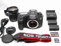 【良品・豪華セット】Canon キヤノン EOS 7D Mark II EF-S 18-55mm IS STM_画像1