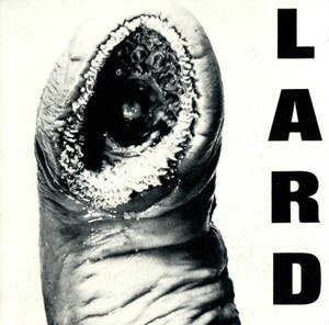 ＊中古CD LARDラード/POWER OF LARD EP 1989年作品1st ジェロ・ビアフラ ミニストリー DEAD KENNEDYSデッド・ケネディーズ