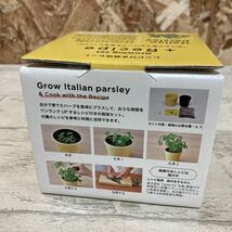 未使用品　イタリアンパセリ　レシピ付き栽培セット　おうち栽培　ハーブ　レシピ付き　セット　佐川急便対応のみ_画像3