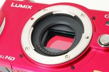 Panasonic DMC -GF2 1061043　1600ショット_画像10