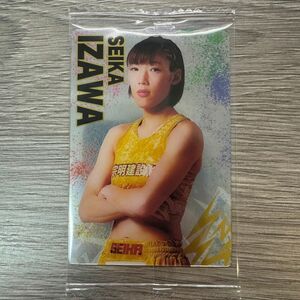 RIZIN ウエハース 伊澤星花