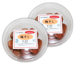 自然栽培 梅干し 500g(250gＸ２個)★神奈川県犬伏梅林★無肥料・無農薬★無添加・無着色★一粒一粒手もぎし、１～２年の間漬けこみました♪