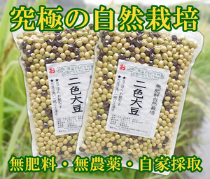  nature cultivation two color large legume (500g)X2 sack * Kumamoto prefecture production * own . taking * less fertilizer * less pesticide *. rice ....... appearance . beautiful appetite ... legume rice. taking place ...!