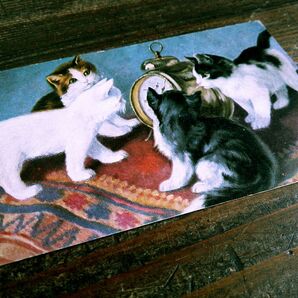 猫(21) C63◆アンティークポストカード フランス ドイツ ベルギー イタリア イギリス ネコ ねこ 子猫 ビンテージ絵葉書の画像8