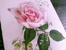 花(8)D23◆薔薇 バラ アンティークポストカード フランス ドイツ イタリア イギリス ビンテージ _画像3