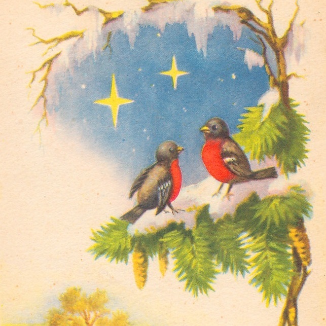 Vintage Postcard (21)H33◆Christmas New Year Little Bird France Germany Belgium Italy UK Picture Postcard, antique, collection, miscellaneous goods, picture postcard