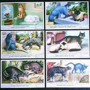 1957年 LIEBIG◆ 世界の猫6種 アンティーク ビンテージ クロモス カード◆イギリス リービッヒ R27
