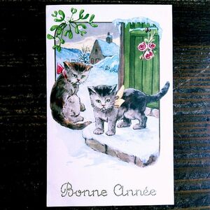 猫(1) C63◆アンティークポストカード フランス ドイツ ベルギー イタリア イギリス ネコ ねこ 子猫 ビンテージ絵葉書