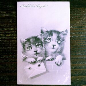 猫(17) C63◆アンティークポストカード フランス ドイツ ベルギー イタリア イギリス ネコ ねこ 子猫 ビンテージ絵葉書