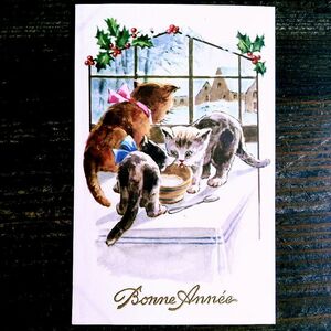 猫(25) C63◆アンティークポストカード フランス ドイツ ベルギー イタリア イギリス ネコ ねこ 子猫 ビンテージ絵葉書