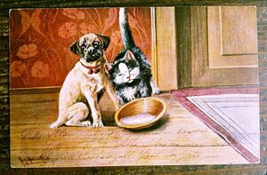猫(26) C63◆犬 アンティークポストカード フランス ドイツ ベルギー イタリア イギリス ネコ ねこ 子猫 ビンテージ絵葉書