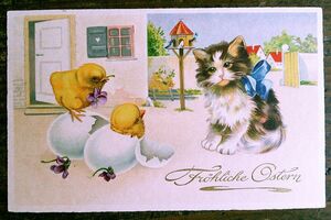 猫(18) C63◆ヒヨコ アンティークポストカード フランス ドイツ ベルギー イタリア イギリス ネコ ねこ 子猫 ビンテージ絵葉書