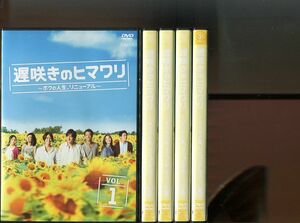 「遅咲きのヒマワリ ボクの人生、リニューアル」全5巻セット 中古DVD レンタル落ち/生田斗真/真木よう子/桐谷健太/香椎由宇/松重豊/b2844