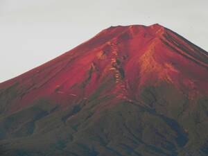  World Heritage гора Фудзи . пунцовый Fuji красный Fuji A4 кроме того, 2L версия сумма имеется 