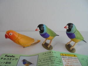 Furuta 海洋堂 クロコキンチョウ　キエリクロボタンインコ ルチーノ　チョコエッグ ペット動物コレクション 松村しのぶ （動物造形）