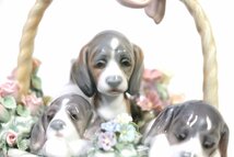 【ト足】CC243CTT2B LLADRO リヤドロ 三つ子の仔犬 陶器 工芸 置物 台座 インテリア_画像3