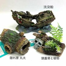 e①)ペットライブラリー aquaneru アクアリウムオーナメント 沈没船/頭蓋骨と植物/他 3点セット 水槽用品 インテリア 置物※アウトレット品_画像1