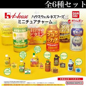 ■送料無料■ ハウスウェルネスフーズ ミニチュアチャーム 全6種セット /C1000ビタミンレモン/1日分のビタミン/ウコンの力/メガシャキ