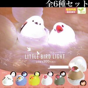 # free shipping # little bird light all 6 kind set /simaenaga/ pie do/ruchino-/se regulation parakeet / writing bird / small bird /../* Tama . Capsule less *