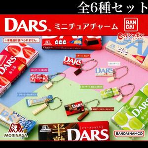 ■送料無料■ DARS ミニチュアチャーム 全6種セット /ダース/チョコ/チョコレート/香る苺/香るマスカット/テリーヌショコラ/森永製菓