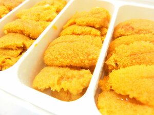 5【Max】岩手県産 生ウニ 100g 冷凍 ブランチウニ 国産 生食用 1円 スタート プロ御用達