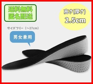 シークレットインソール 2.5cm 中敷き 衝撃吸収 抗菌 防臭 低反発 上げ底 シューズ ブーツ インヒール 足長効果 厚底 身長アップ UP y0nu