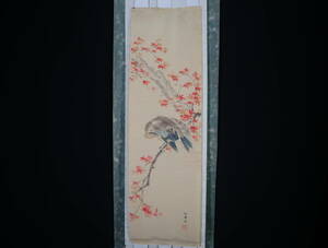 Art hand Auction 【模写】掛軸･紅葉と鳥図･紙本･仮表装･作者不詳, 絵画, 日本画, 花鳥, 鳥獣