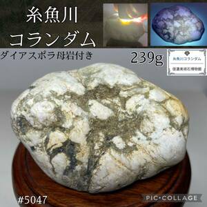 【今年最後の大感謝祭】糸魚川 コランダム 横7(cm) 239g(※検索 サファイア ヒスイ 翡翠 水石盆栽 骨董盆石鑑賞石観賞石太湖石鉱物)5047