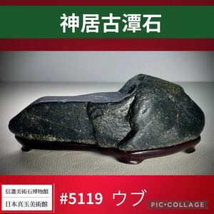 【クリスマスビッグ特売！】水石盆栽 神居古潭石 ウブ 土坡形 横21×高8×奥行5(cm) 重量:1.54kg骨董盆石鑑賞石観賞石太湖石 5119