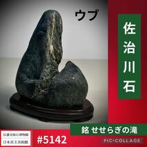 【クリスマスビッグ特売！】水石盆栽 佐治川石 『せせらぎの滝』ウブ 横10×高12.5×奥行6(cm) 580g骨董盆石鑑賞石観賞石太湖石 5142_画像1