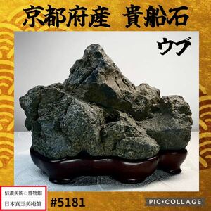 【年末年始初売り】 水石 盆栽 京都府産 貴船石 ウブ 横17×高12×奥行11(cm) 1.58kg骨董盆石鑑賞石観賞石太湖石 5181