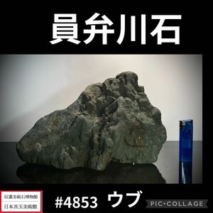 【年末年始初売り】水石盆栽 員弁川石 ウブ 横29×高18×奥行18(cm) 9.58kg骨董盆石鑑賞石観賞石太湖石 4851