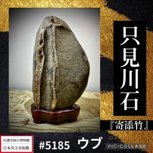 【年末年始初売り】 水石 盆栽 只見川石 ウブ 銘：『寄添竹』 横8.5×高15.5×奥行5.5(cm) 重量:780g 骨董盆石鑑賞石観賞石太湖石 5185