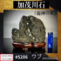 【年始初売り】 水石盆栽 加茂川石 ウブ 銘 『龍神の滝』 横17.5×高16.5×奥行10(cm) 3.32kg骨董盆石鑑賞石観賞石太湖石 5206_画像1