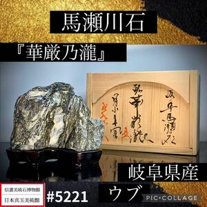 【年始初売り】 水石盆栽骨董 岐阜県産 馬瀬川石 『華厳乃瀧』ウブ 桐箱付 横13×高11.5×奥行7(cm) 940g盆石鑑賞石観賞石太湖石 5221