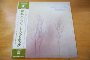 O2-154＜帯付LP/美盤＞フリートウッド・マック / 枯れ木