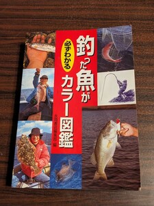 釣った魚が必ずわかる　カラー図鑑　永岡書店　