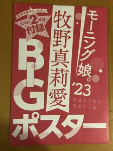 牧野真莉愛　モーニング娘。 BIGポスター 月刊少年チャンピオン　2023年2月号 未開封品