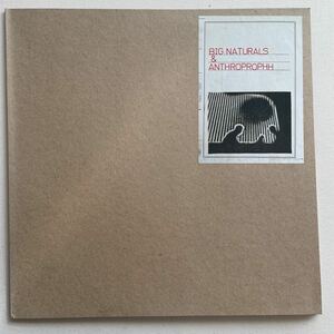 BIG NATURALS & ANTHROPROPHH - split LP エクスペリメンタル サイケ ノイズ experimental psychedelic noise electronic