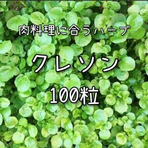 【クレソンのタネ】100粒 種子 種 ウォータークレス ハーブ