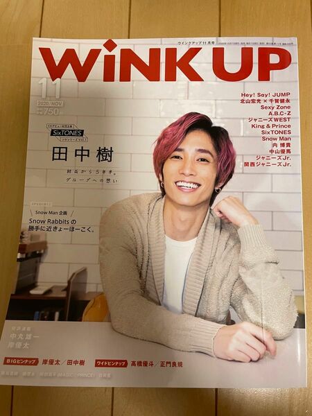 Wink up 2020.11