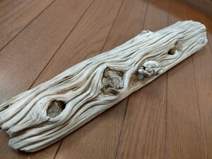 ☆天然流木 水槽 １点物 アクアリウム オブジェ アート 53×11×5.5cm 大和川 爬虫類 とかげ　ヘビ インテリア 魚 めだか 隠れ家　珍品